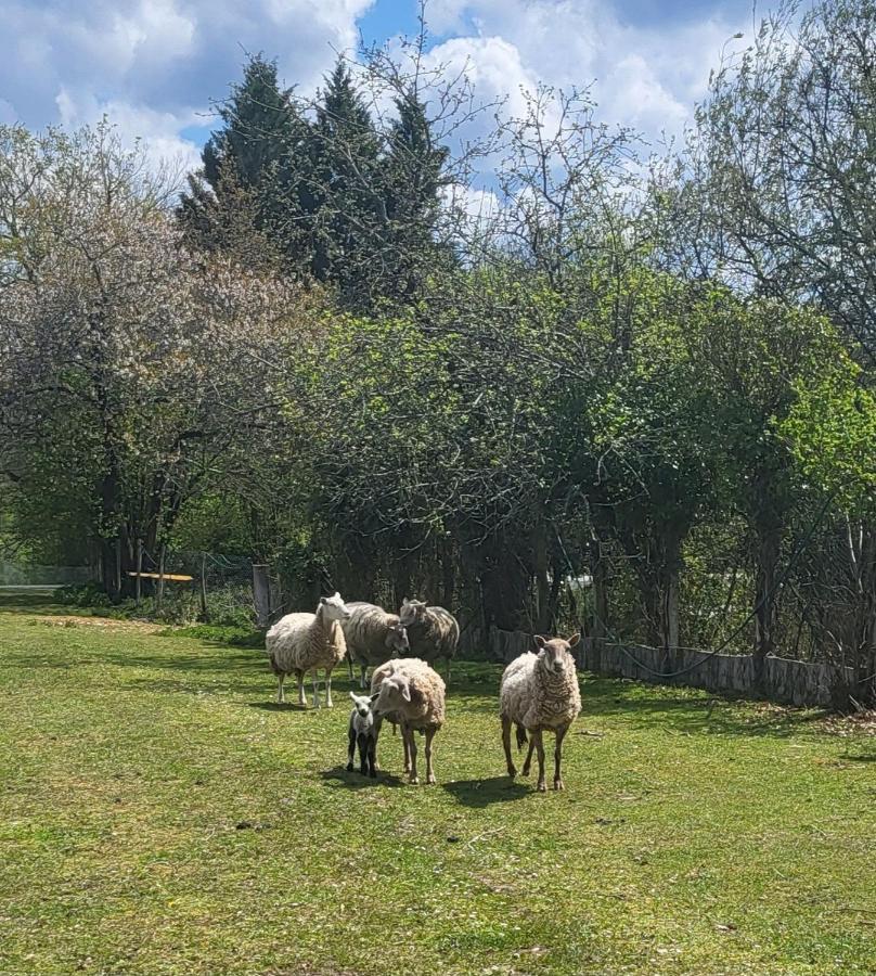 Gite Du Gardoir Boresse-et-Martron Bagian luar foto
