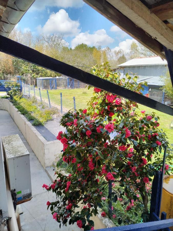 Gite Du Gardoir Boresse-et-Martron Bagian luar foto